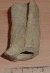 Нора ракообразного.