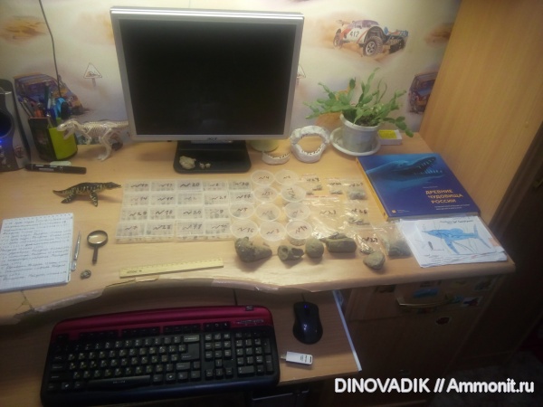 Коллекция.