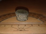 Фаланга ихтиозавра семейства Ophthalmosauridae.