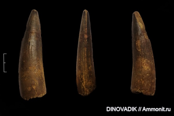 динозавры, сеноман, Spinosaurus aegyptiacus, Spinosaurus