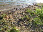 Можайское водохранилище