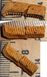 Зуб ската Myliobatidae.