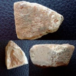 Губка Chaetetes
