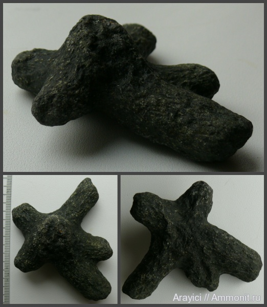 Украина, Porifera, Ventriculitidae, Rhizopoterion, hexactinellida, Upper Cretaceous
