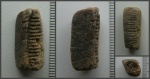 Фрагмент зубной пластины ската Aetobatus sp.