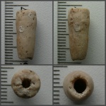 Полая чашечка Bourgueticrinus sp. с поселенцами.