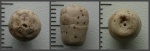 "Бутон" Bourgueticrinus sp. отполированный песками.