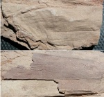 Отпечатки листов (коры) Cordaites sp. (?)