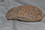 Улов Красного Моря.