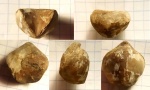 Старческая (?)  Lacunosella moutoniana с необычным волнистым краем
