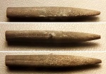 Оксфордская (?) Pseudoduvalia sp.