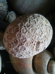 coral