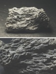 Губка