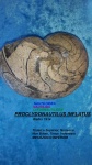 PROCLYDONAUTILUS INFLATUS
