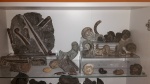 NAUTILOIDS