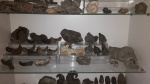 NAUTILOIDS