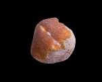 Часть раковины брахиоподы