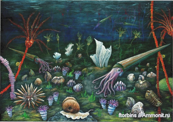 брахиоподы, гастроподы, морские ежи, морские лилии, карбон, мшанки, ругозы, палеоарт, актиноцериды