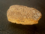 Hoploparia dentata (Roemer).