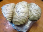 фрагмент Bostrychoceras polyplocum