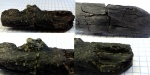 углефицированный фрагмент древесины