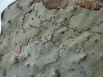 Paleodictyon majus 4