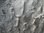 Гофрированная нора.