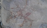 Ophiomorpha " ветки метро"