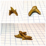 Крупный боковой зуб Pseudoscapanorhynchus compressidens