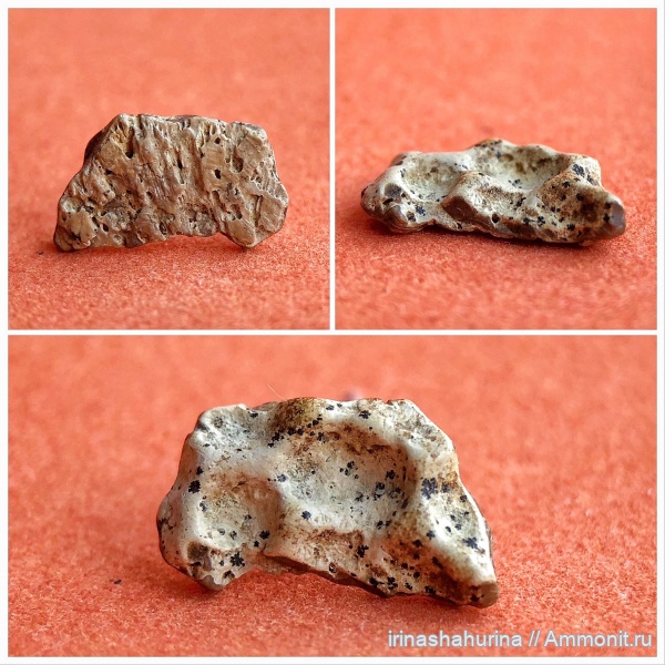мел, сеноман, Шацк, Малый Пролом