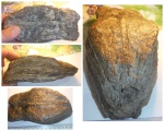 Фрагмент зуба мамонта (Mammuthus primigenius)