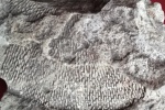 подарок музею нужна помощь