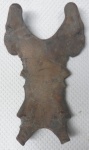 sternum, Kentriodon fuchsii