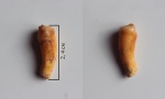 Crocuta spelaea