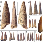 Protosphyraena (и не только) из Шацка