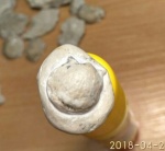 Брахиопода Productida