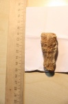 Коралл