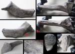 Кость со следами укусов на определение