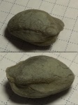 Несимметрия