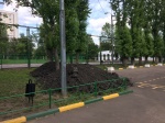 Юрские газоны