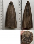 Юрский белемнит 2