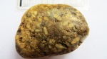 Фузулиниды