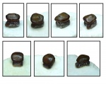 Зубы Lagarodus specularis (Trautschold, 1874) morphotype  cubicus