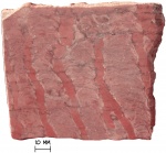 Строматолит Parallelophyton raigubicum Mak (after Makarikhin. 1983)