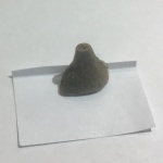 Зубы костистой рыбы Enchodus sp. (Саблезубая сельдь)