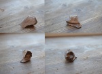 Челюстная пластина химерной рыбы, фрагмент.