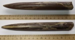 Белемнит Cylindroteuthis