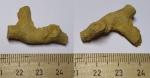 Мшанка Rhombotrypella