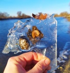 Скованный во льдах