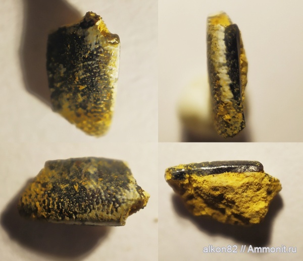 карбон, Гжель, рыбы, шипы, зубы рыб, fish
